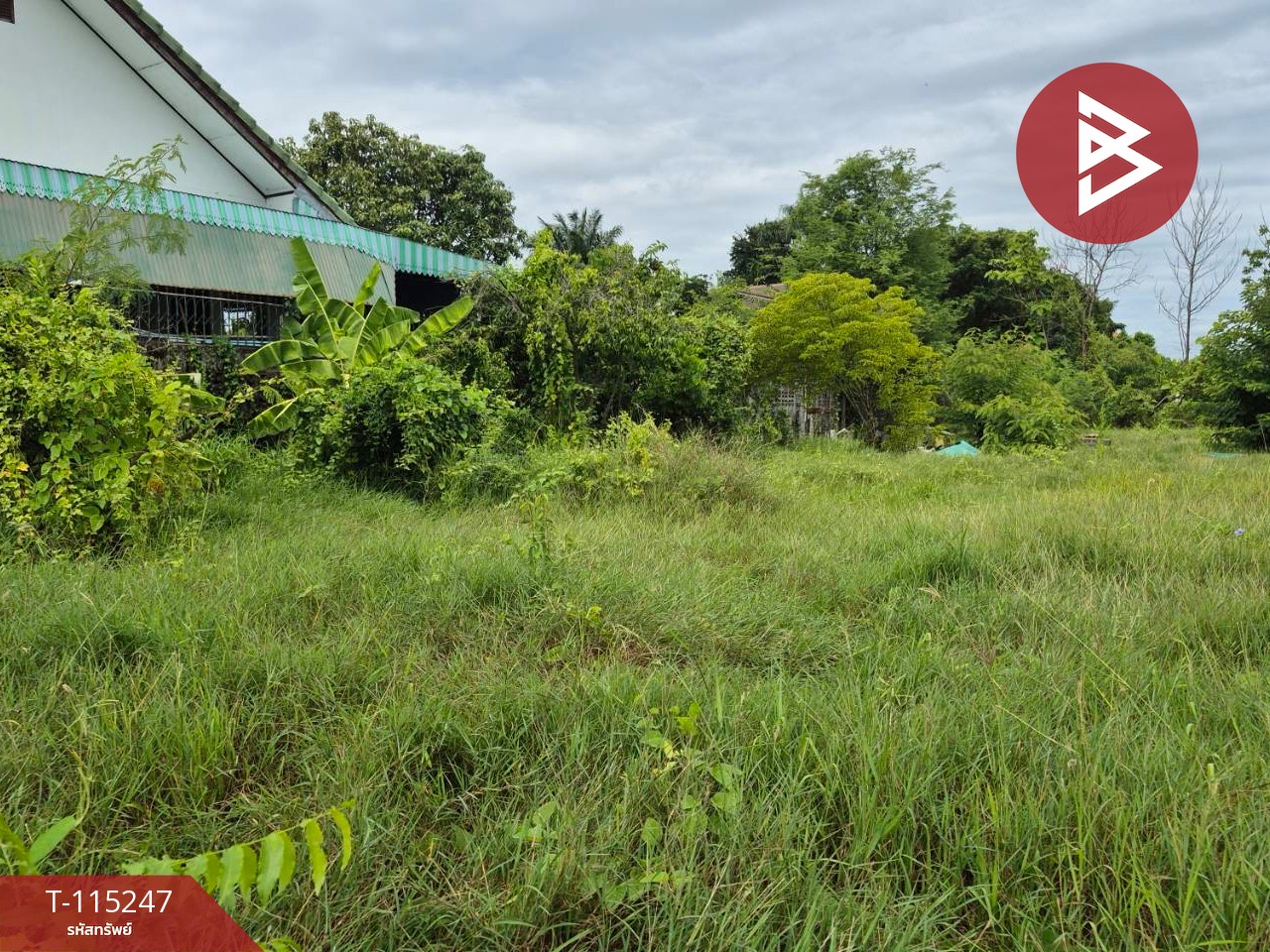 ขายที่ดินแปลงสวย เนื้อที่ 1 ไร่ ต.กระตีบ กำแพงแสน นครปฐม 11