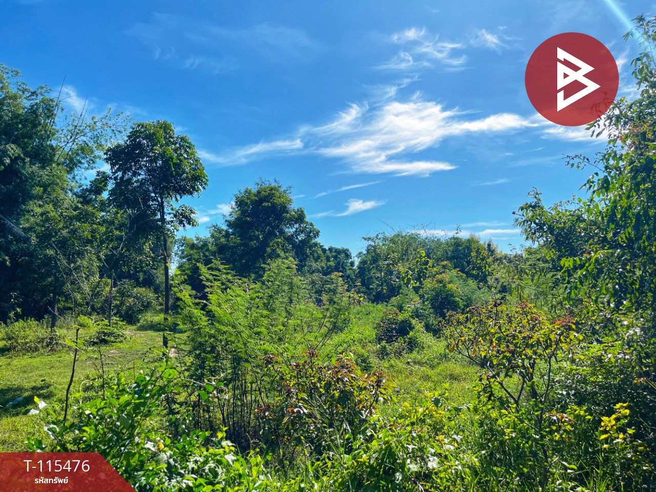 ขายที่ดิน เนื้อที่ 1 ไร่ 2 งาน 59.4 ตร.วา ต.ดงขวาง อ.หนองขาหย่าง จ.อุทัยธานี ติดถนน 3