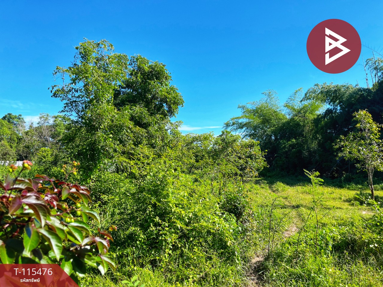 ขายที่ดิน เนื้อที่ 1 ไร่ 2 งาน 59.4 ตร.วา ต.ดงขวาง อ.หนองขาหย่าง จ.อุทัยธานี ติดถนน 5