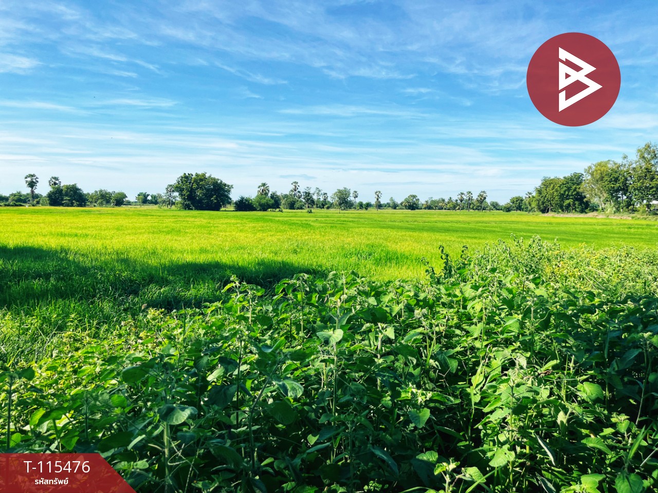 ขายที่ดิน เนื้อที่ 1 ไร่ 2 งาน 59.4 ตร.วา ต.ดงขวาง อ.หนองขาหย่าง จ.อุทัยธานี ติดถนน 2