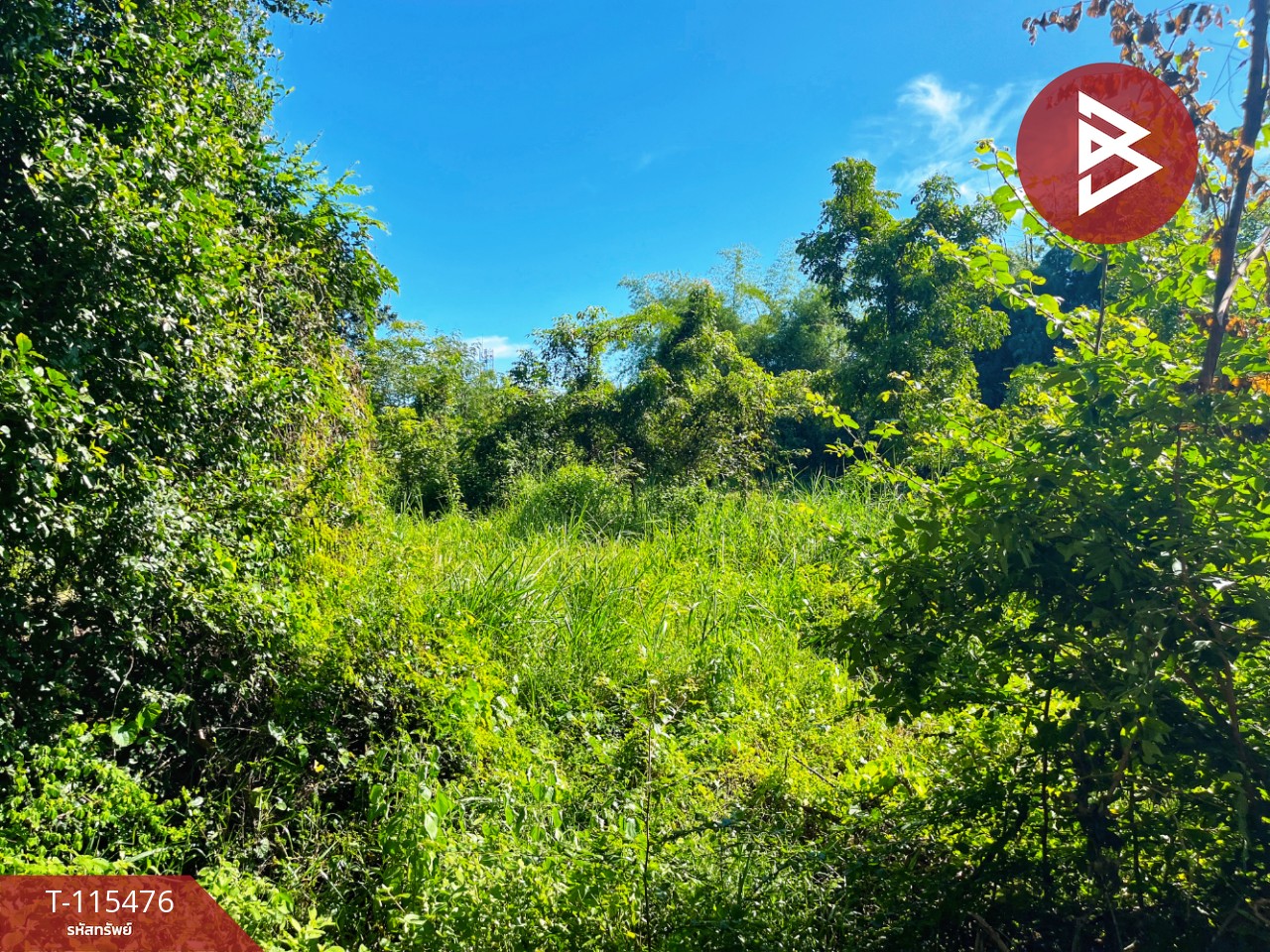 ขายที่ดิน เนื้อที่ 1 ไร่ 2 งาน 59.4 ตร.วา ต.ดงขวาง อ.หนองขาหย่าง จ.อุทัยธานี ติดถนน 7