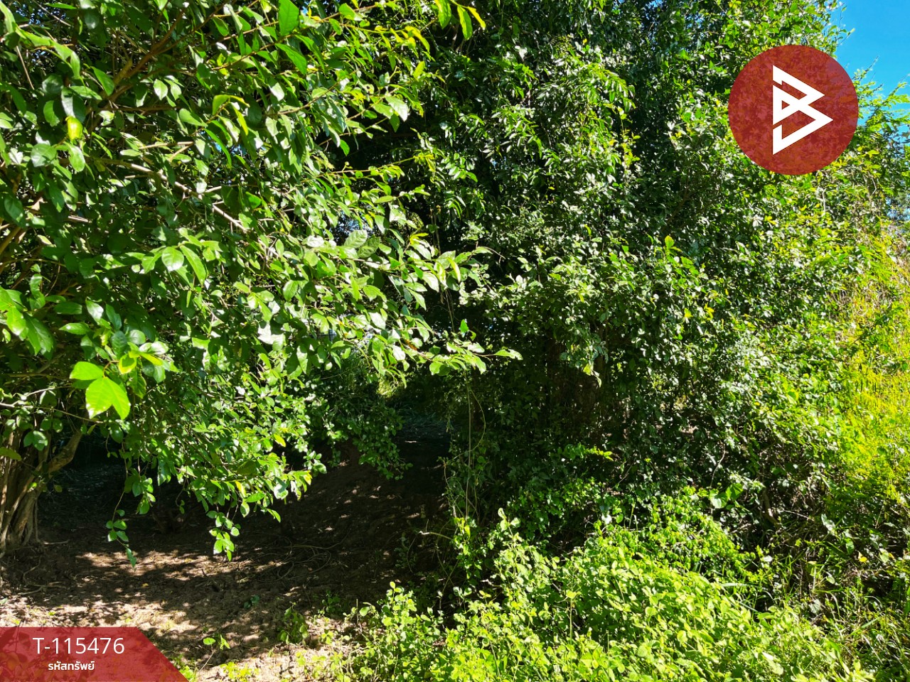 ขายที่ดิน เนื้อที่ 1 ไร่ 2 งาน 59.4 ตร.วา ต.ดงขวาง อ.หนองขาหย่าง จ.อุทัยธานี ติดถนน 10