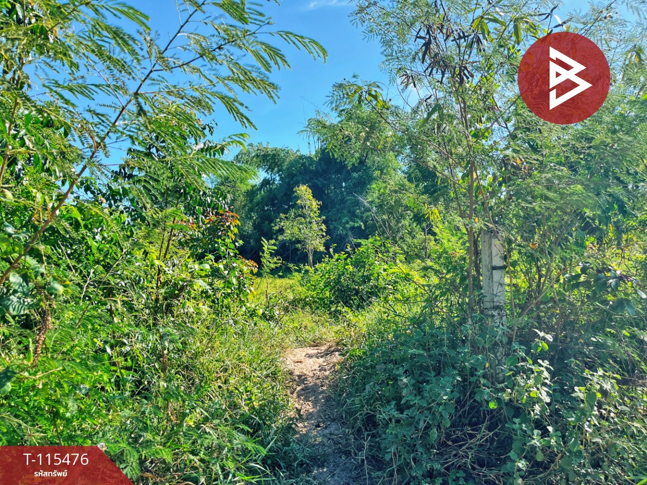 ขายที่ดิน เนื้อที่ 1 ไร่ 2 งาน 59.4 ตร.วา ต.ดงขวาง อ.หนองขาหย่าง จ.อุทัยธานี ติดถนน 8