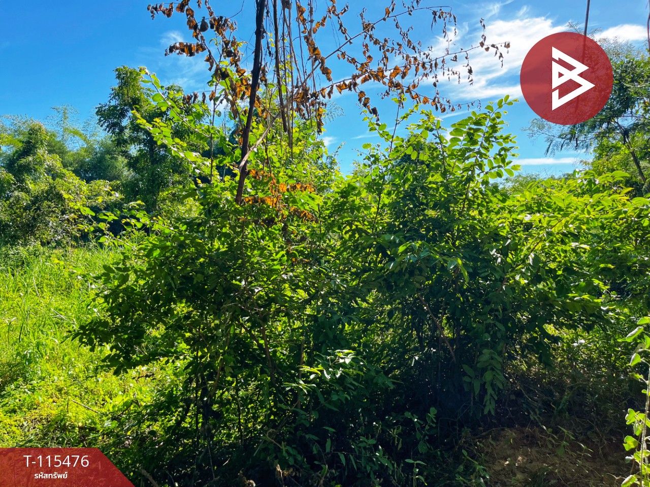 ขายที่ดิน เนื้อที่ 1 ไร่ 2 งาน 59.4 ตร.วา ต.ดงขวาง อ.หนองขาหย่าง จ.อุทัยธานี ติดถนน 4