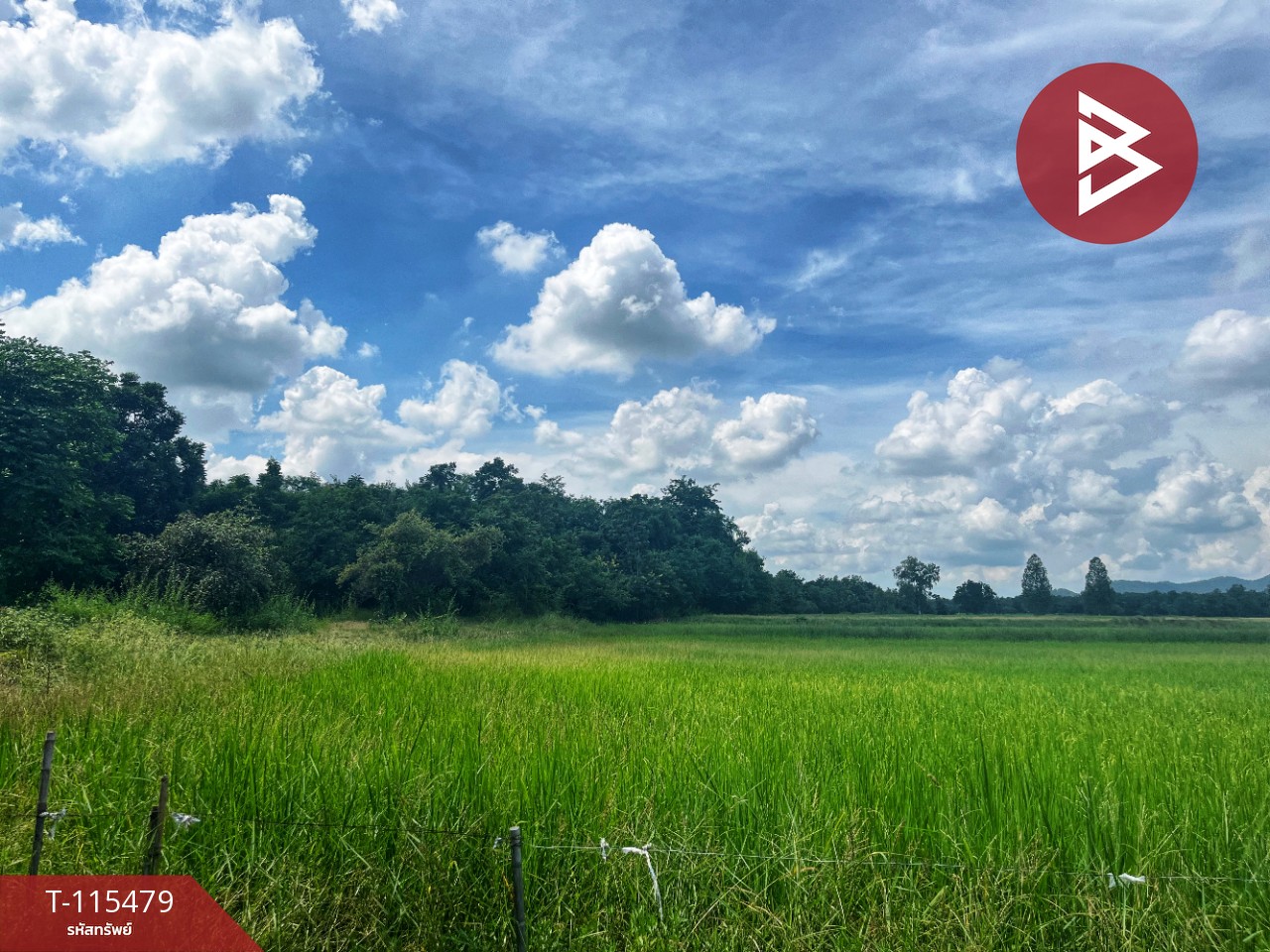 ขายที่ดิน 16 ไร่ 85 ตารางวา ต.หนองโรง อ.พนมทวน จ. กาญจนบุรี ทำเลดี ใกล้ทางด่วน M81 11