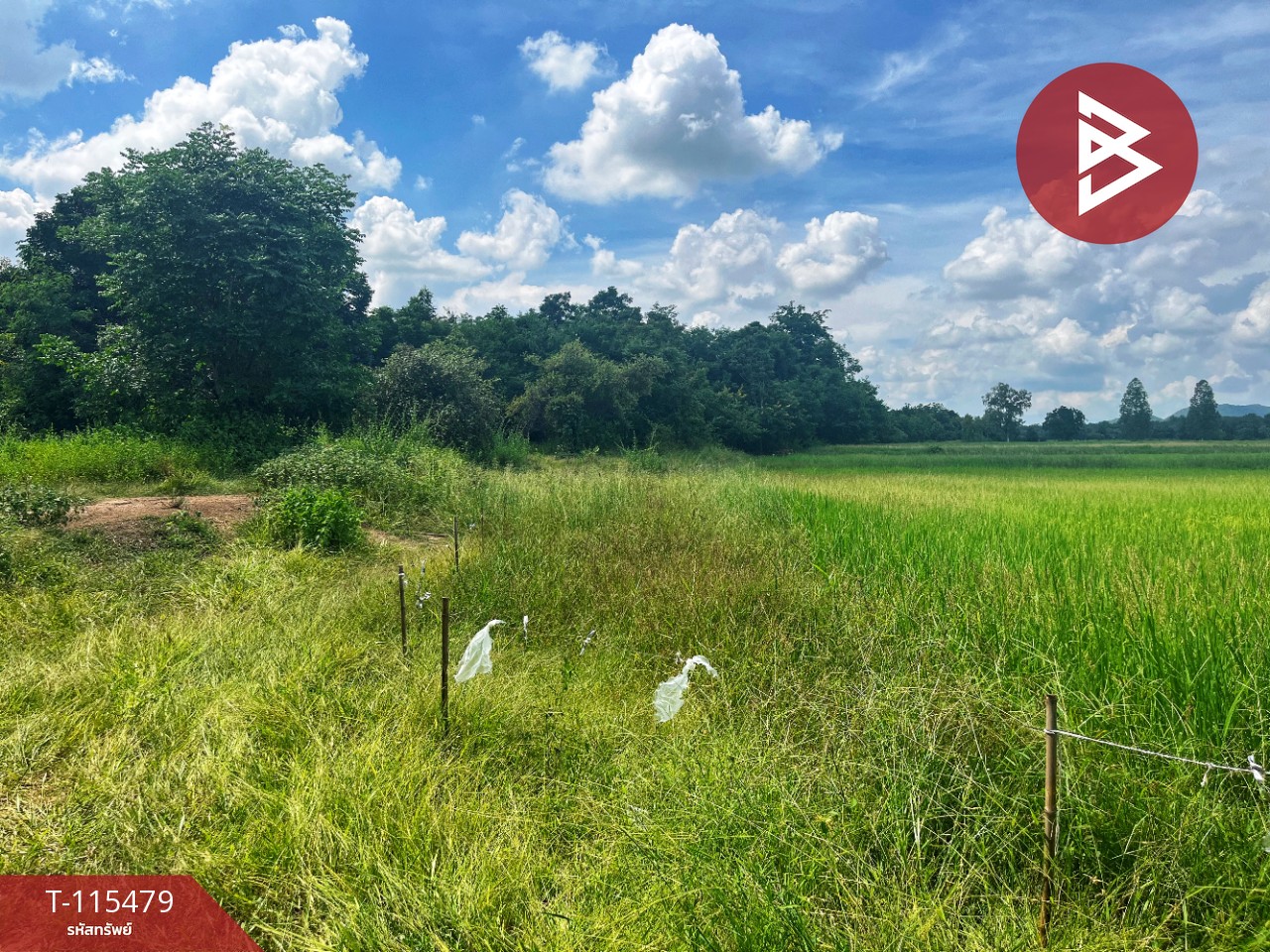 ขายที่ดิน 16 ไร่ 85 ตารางวา ต.หนองโรง อ.พนมทวน จ. กาญจนบุรี ทำเลดี ใกล้ทางด่วน M81 13