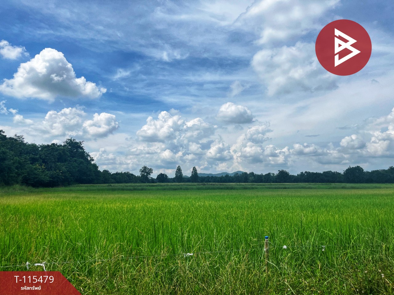 ขายที่ดิน 16 ไร่ 85 ตารางวา ต.หนองโรง อ.พนมทวน จ. กาญจนบุรี ทำเลดี ใกล้ทางด่วน M81 8