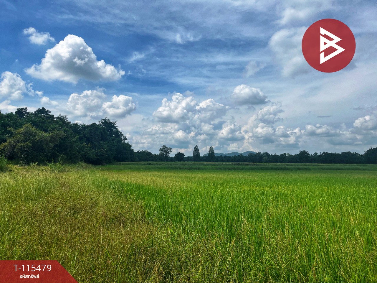 ขายที่ดิน 16 ไร่ 85 ตารางวา ต.หนองโรง อ.พนมทวน จ. กาญจนบุรี ทำเลดี ใกล้ทางด่วน M81 12