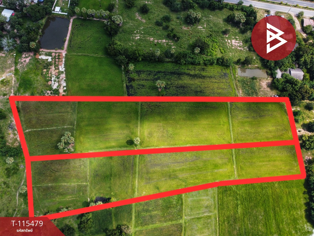 ขายที่ดิน 16 ไร่ 85 ตารางวา ต.หนองโรง อ.พนมทวน จ. กาญจนบุรี ทำเลดี ใกล้ทางด่วน M81 5