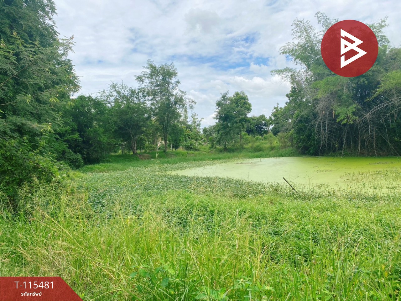 ขายบ้านพร้อมที่ดิน เนื้อที่ 3 ไร่ 31.6 ตร.วา ต.ดงขวาง อ.หนองขาหย่าง จ.อุทัยธานี ติดถนน ราคาถูก 4