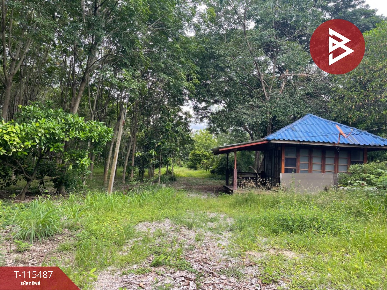 ขายที่ดิน เนื้อที่ 17 ไร่ 2 งาน 59 ตร.วา ชุมแพ ขอนแก่น 1