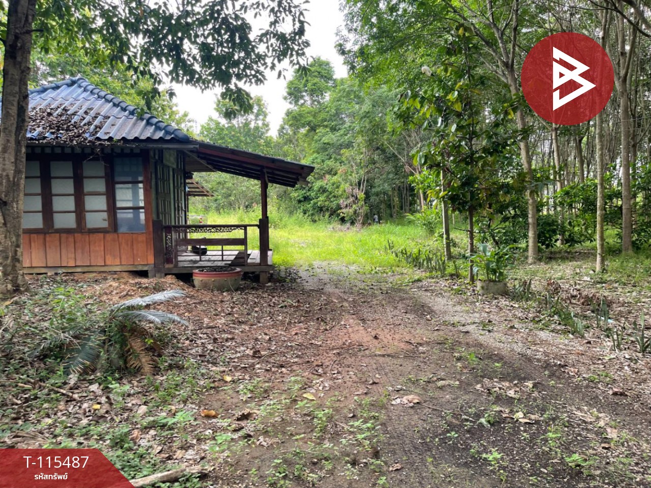 ขายที่ดิน เนื้อที่ 17 ไร่ 2 งาน 59 ตร.วา ชุมแพ ขอนแก่น 5