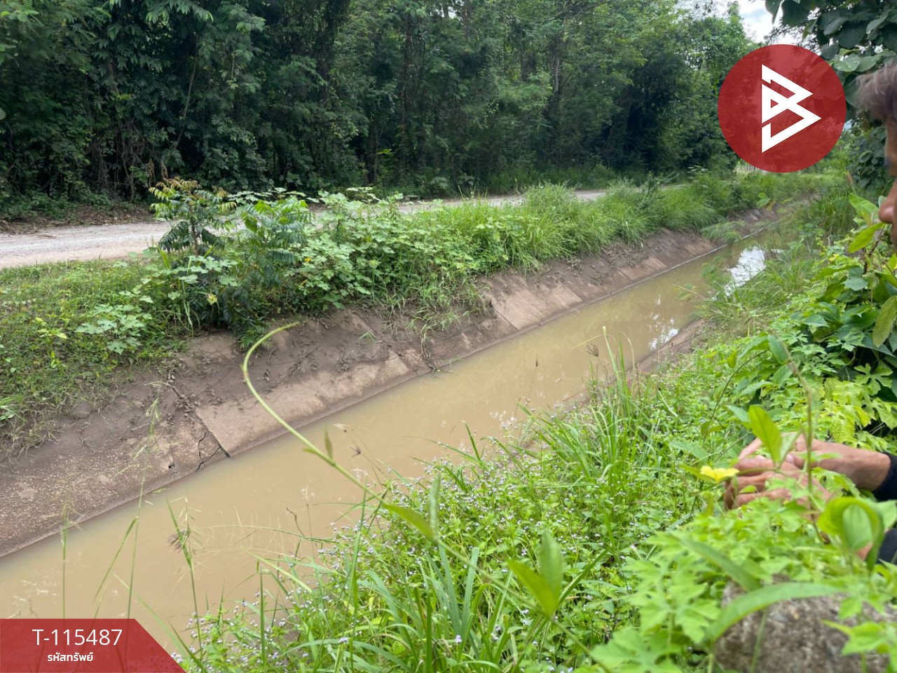 ขายที่ดิน เนื้อที่ 17 ไร่ 2 งาน 59 ตร.วา ชุมแพ ขอนแก่น 3