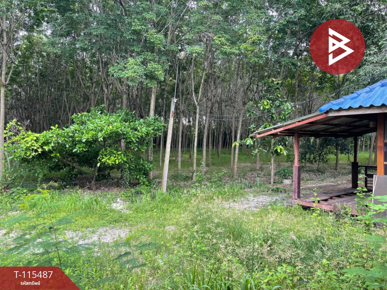 ขายที่ดิน เนื้อที่ 17 ไร่ 2 งาน 59 ตร.วา ชุมแพ ขอนแก่น 4