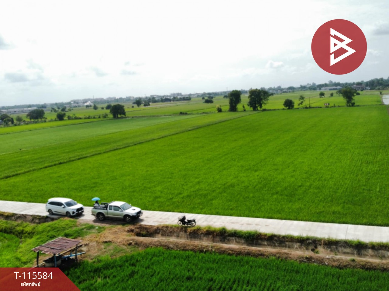 ขายที่ดิน เนื้อที่ 7 ไร่ 2 งาน 36 ตร.วา วัดพริก พิษณุโลก 2