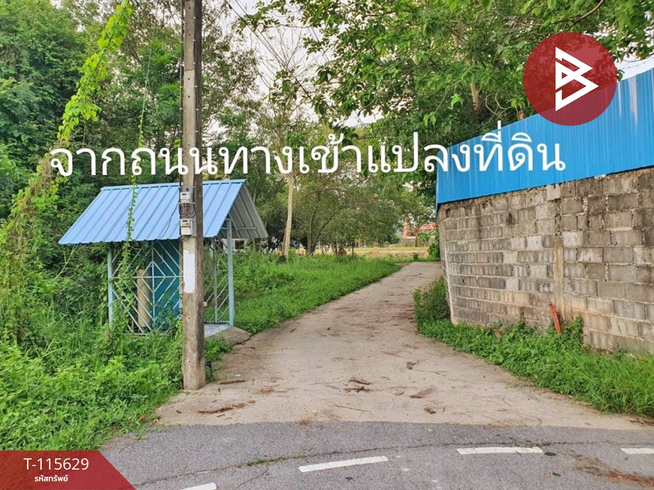 Property image 6