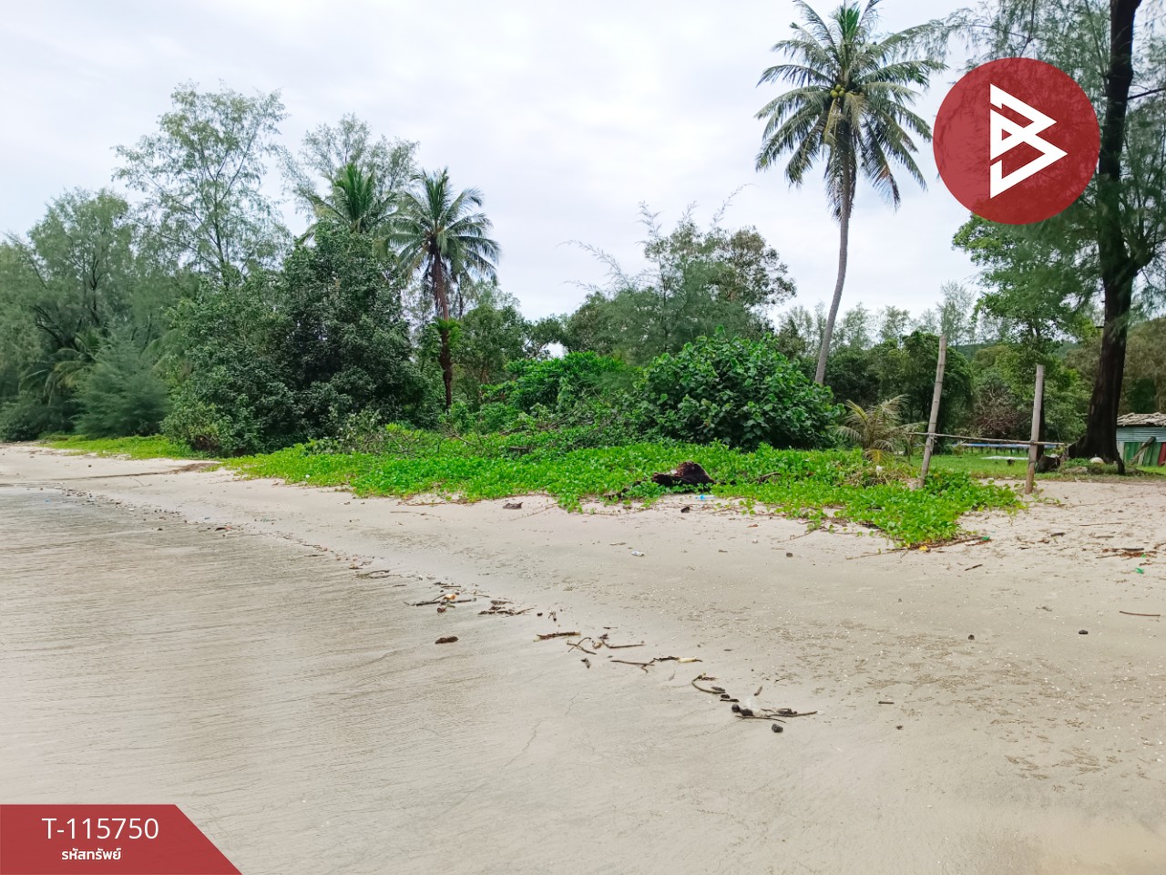 ขายที่ดินสวยติดทะเล เนื้อที่ 4 ไร่ 40 ตารางวา อ.คลองใหญ่ จ.ตราด 4