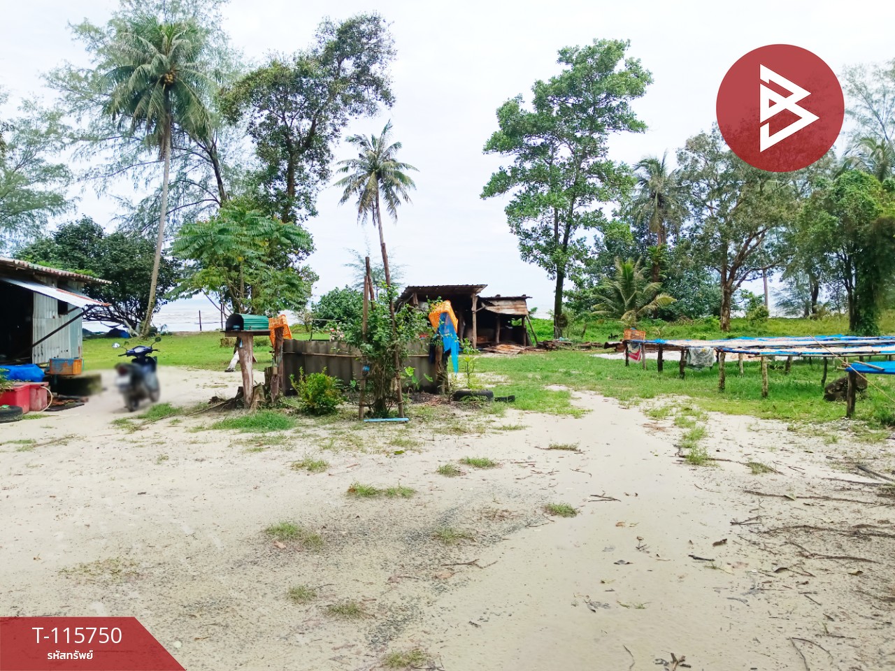 ขายที่ดินสวยติดทะเล เนื้อที่ 4 ไร่ 40 ตารางวา อ.คลองใหญ่ จ.ตราด 11