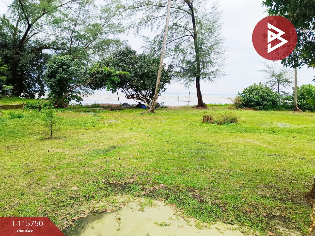 ขายที่ดินสวยติดทะเล เนื้อที่ 4 ไร่ 40 ตารางวา อ.คลองใหญ่ จ.ตราด 12