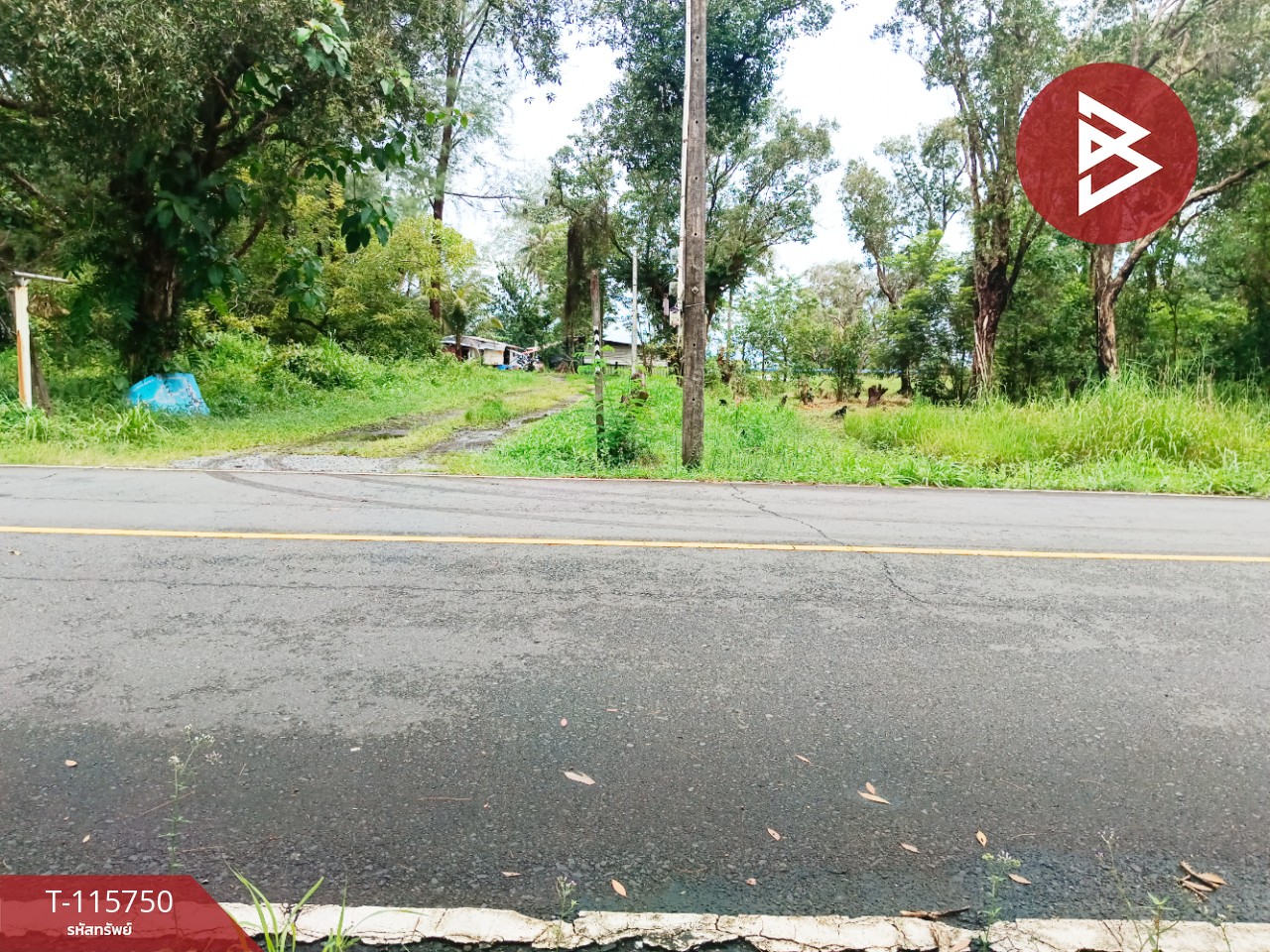 ขายที่ดินสวยติดทะเล เนื้อที่ 4 ไร่ 40 ตารางวา อ.คลองใหญ่ จ.ตราด 10