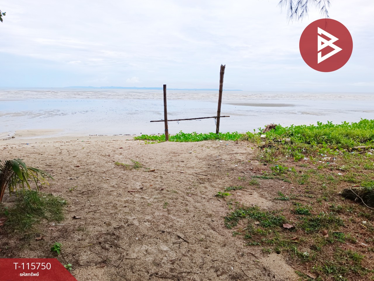 ขายที่ดินสวยติดทะเล เนื้อที่ 4 ไร่ 40 ตารางวา อ.คลองใหญ่ จ.ตราด 8