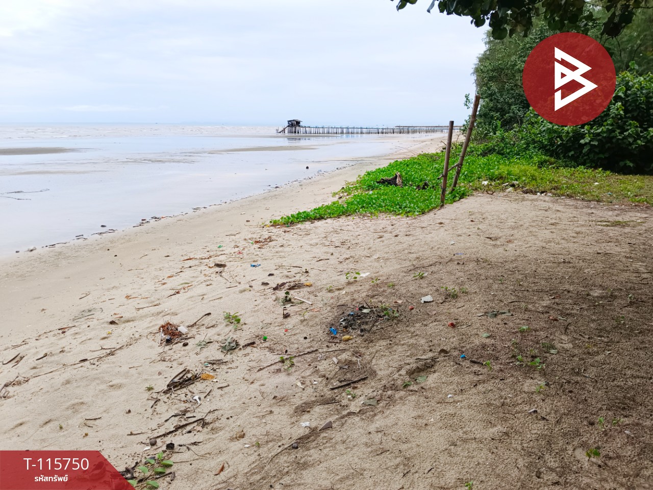 ขายที่ดินสวยติดทะเล เนื้อที่ 4 ไร่ 40 ตารางวา อ.คลองใหญ่ จ.ตราด 7