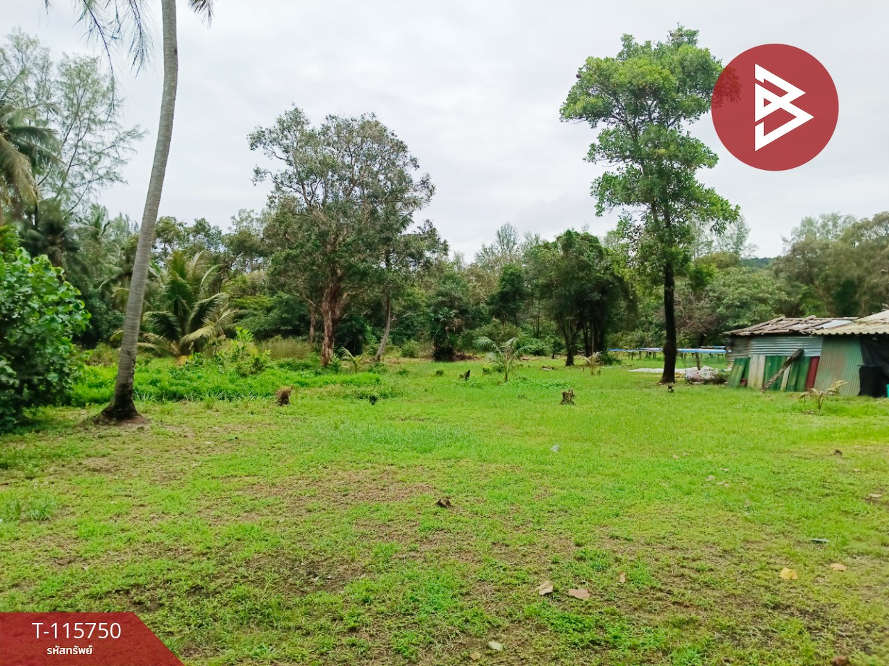 ขายที่ดินสวยติดทะเล เนื้อที่ 4 ไร่ 40 ตารางวา อ.คลองใหญ่ จ.ตราด 6