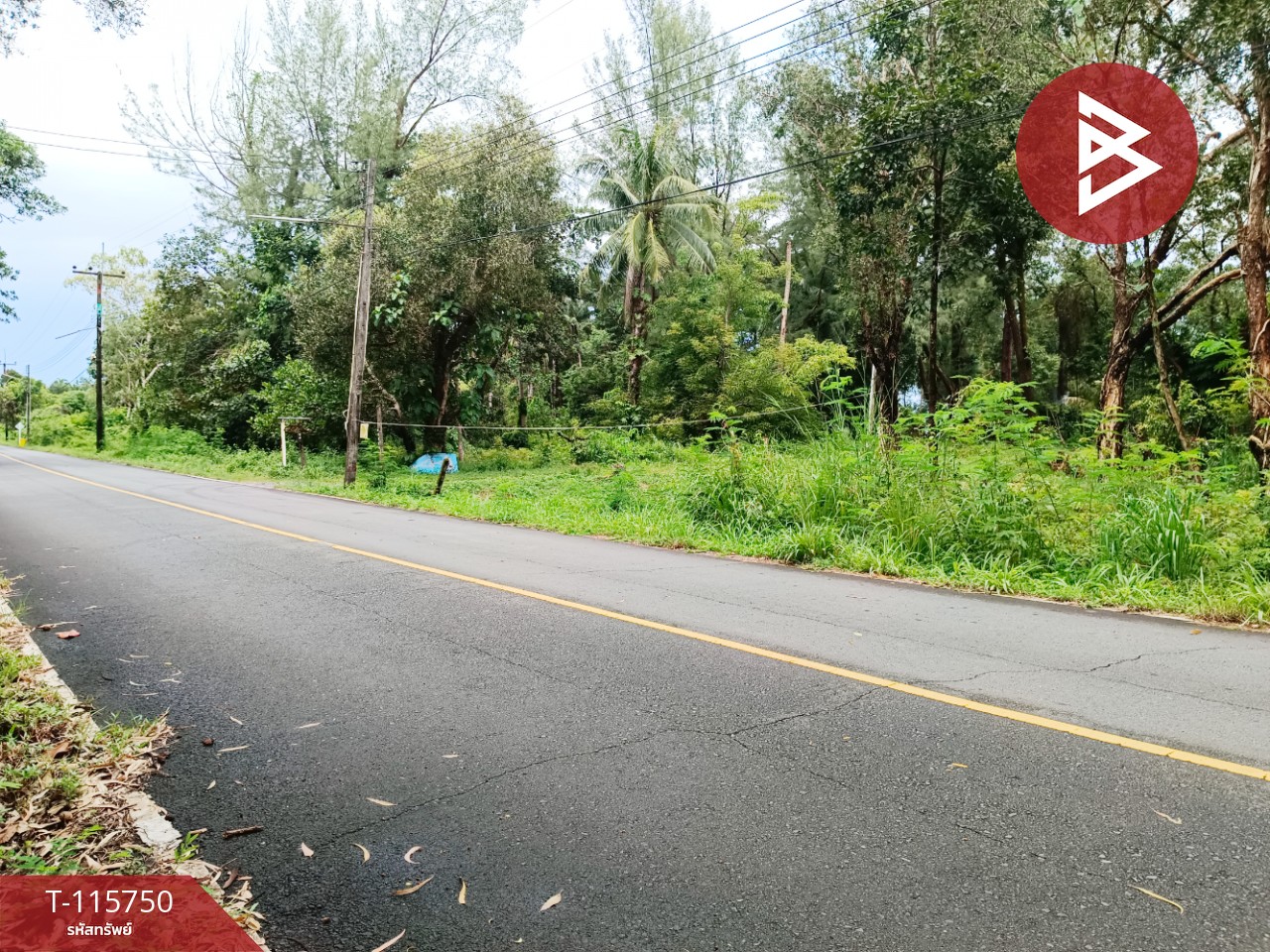 ขายที่ดินสวยติดทะเล เนื้อที่ 4 ไร่ 40 ตารางวา อ.คลองใหญ่ จ.ตราด 13