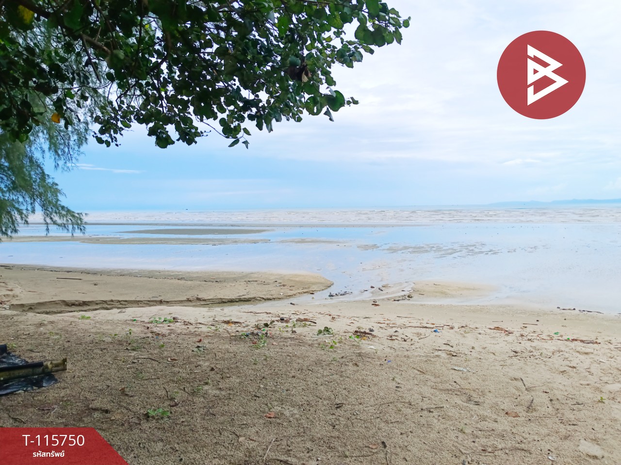 ขายที่ดินสวยติดทะเล เนื้อที่ 4 ไร่ 40 ตารางวา อ.คลองใหญ่ จ.ตราด 5