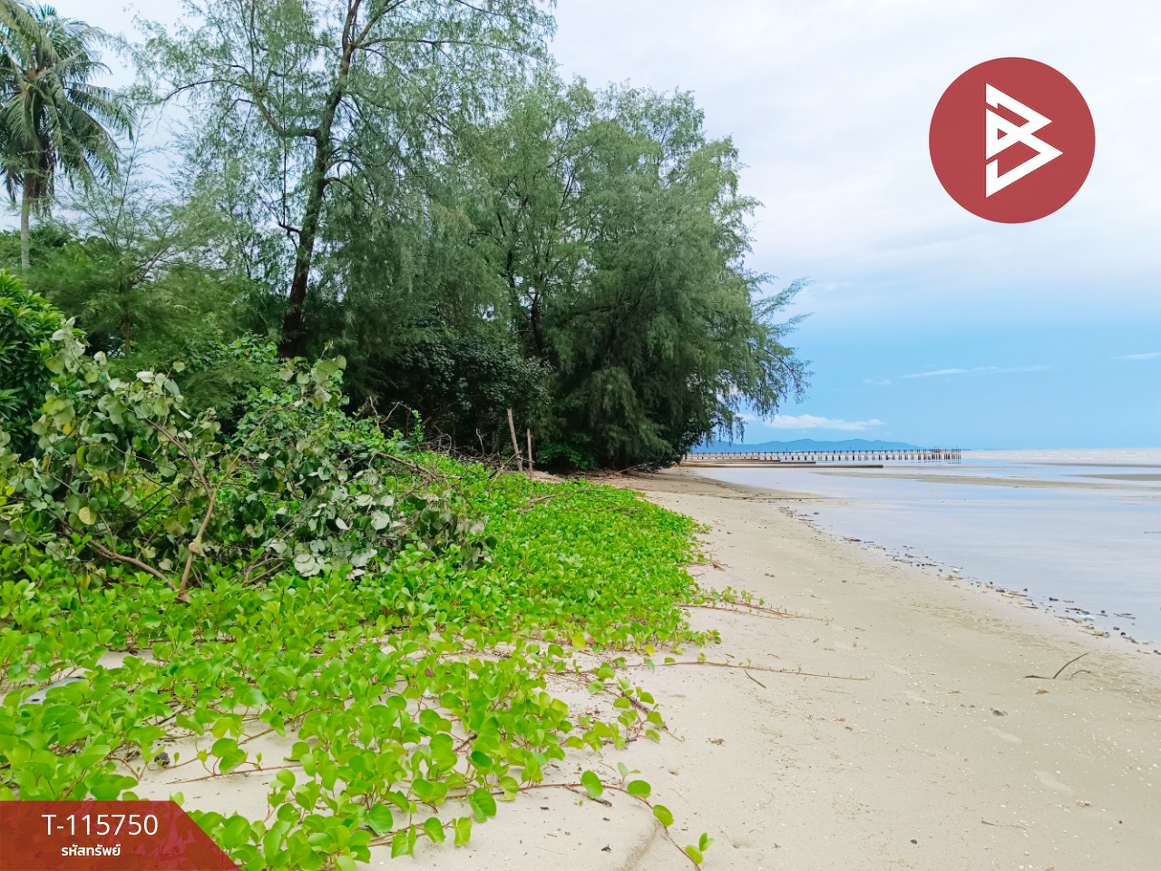 ขายที่ดินสวยติดทะเล เนื้อที่ 4 ไร่ 40 ตารางวา อ.คลองใหญ่ จ.ตราด 3