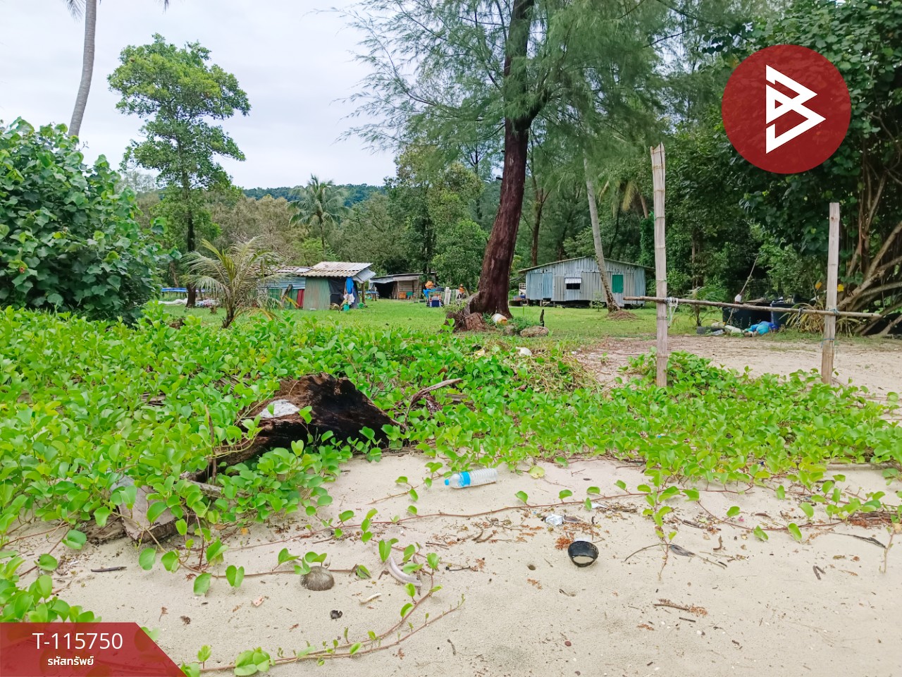 ขายที่ดินสวยติดทะเล เนื้อที่ 4 ไร่ 40 ตารางวา อ.คลองใหญ่ จ.ตราด 9