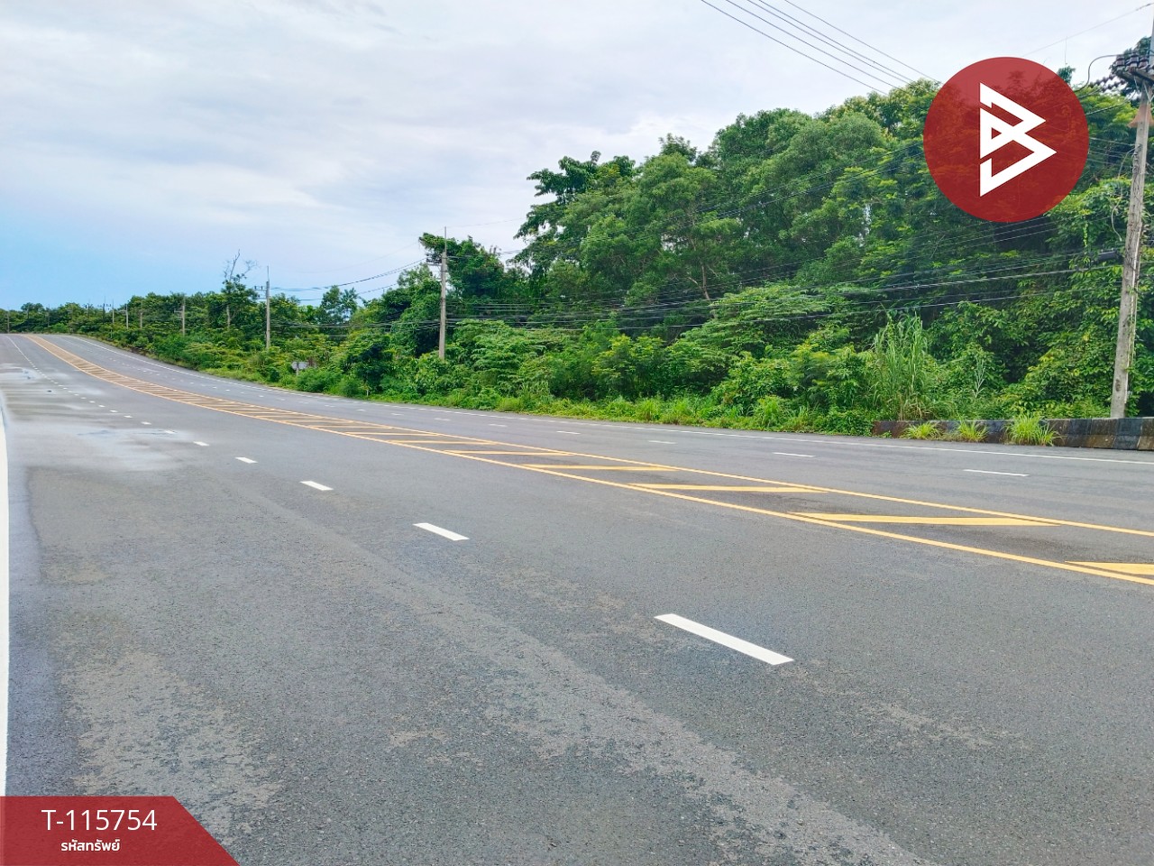 ขายที่ดินสวย เนื้อที่ 2 ไร่ 2 งาน 88 ตารางวา อ.คลองใหญ่ จ.ตราด ทำเลดี 13