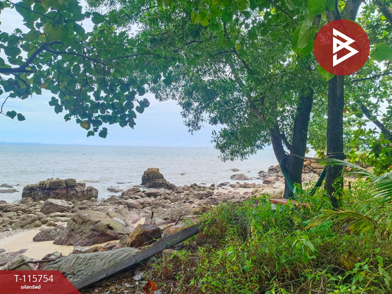 ขายที่ดินสวย เนื้อที่ 2 ไร่ 2 งาน 88 ตารางวา อ.คลองใหญ่ จ.ตราด ทำเลดี 4