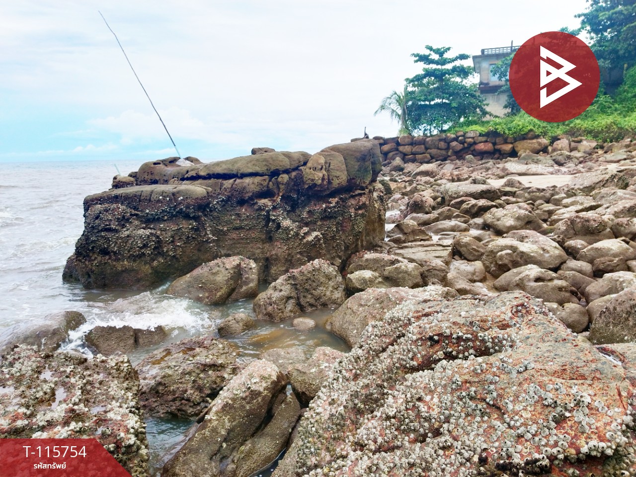 ขายที่ดินสวย เนื้อที่ 2 ไร่ 2 งาน 88 ตารางวา อ.คลองใหญ่ จ.ตราด ทำเลดี 7