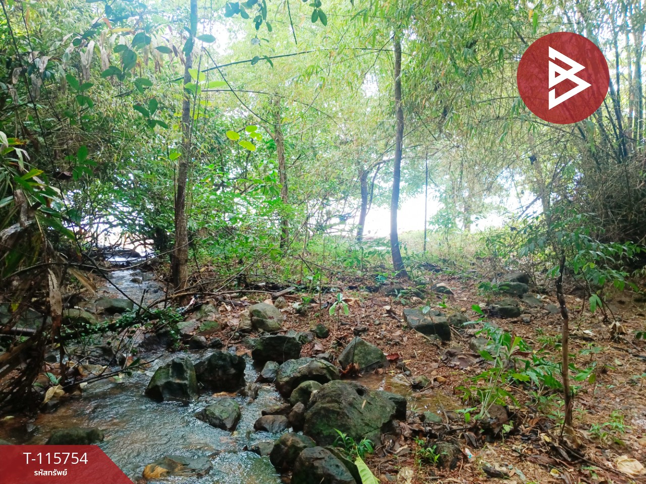 ขายที่ดินสวย เนื้อที่ 2 ไร่ 2 งาน 88 ตารางวา อ.คลองใหญ่ จ.ตราด ทำเลดี 3