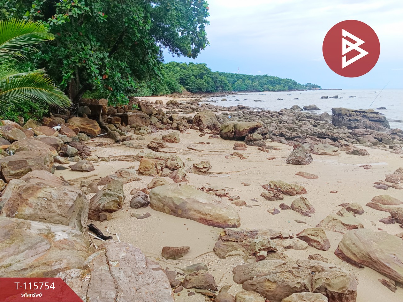 ขายที่ดินสวย เนื้อที่ 2 ไร่ 2 งาน 88 ตารางวา อ.คลองใหญ่ จ.ตราด ทำเลดี 9