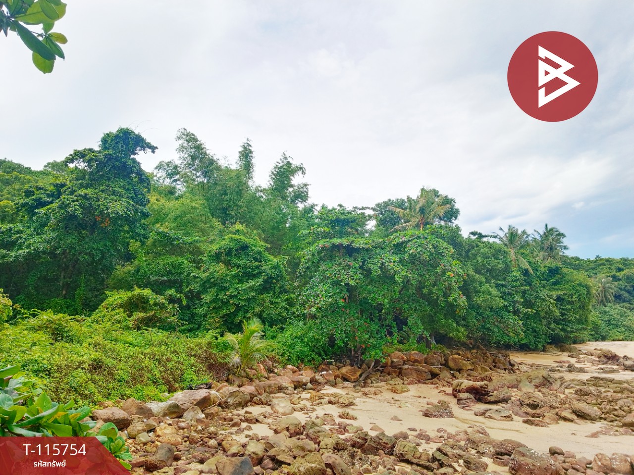 ขายที่ดินสวย เนื้อที่ 2 ไร่ 2 งาน 88 ตารางวา อ.คลองใหญ่ จ.ตราด ทำเลดี 1