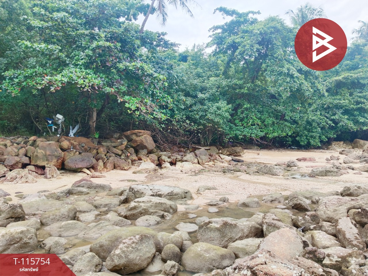 ขายที่ดินสวย เนื้อที่ 2 ไร่ 2 งาน 88 ตารางวา อ.คลองใหญ่ จ.ตราด ทำเลดี 11