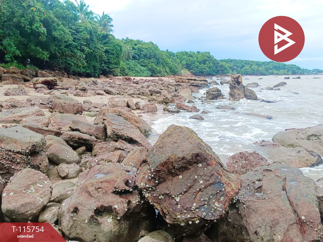 ขายที่ดินสวย เนื้อที่ 2 ไร่ 2 งาน 88 ตารางวา อ.คลองใหญ่ จ.ตราด ทำเลดี 12