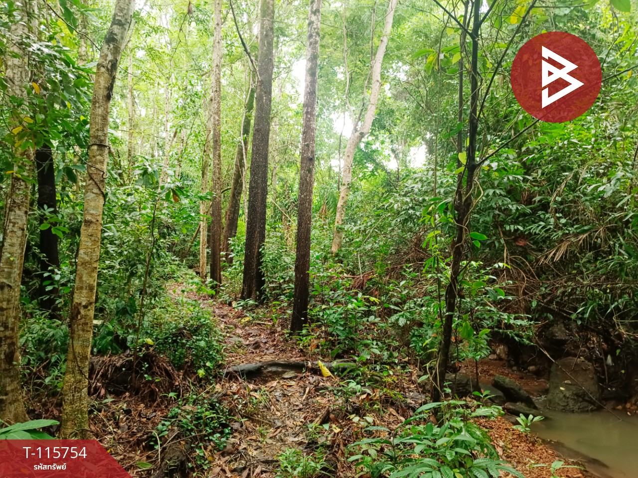 ขายที่ดินสวย เนื้อที่ 2 ไร่ 2 งาน 88 ตารางวา อ.คลองใหญ่ จ.ตราด ทำเลดี 2