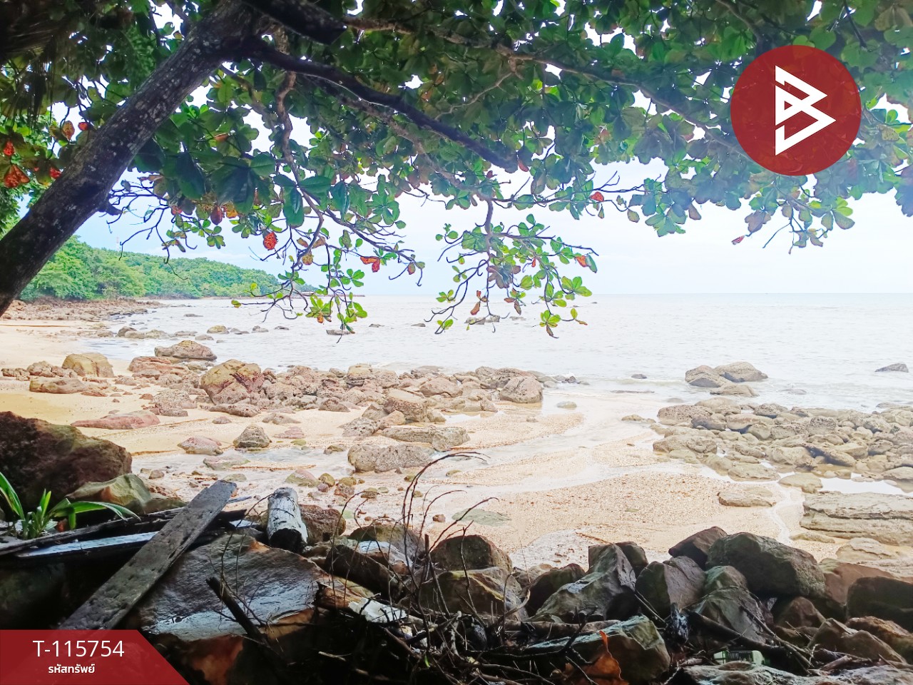 ขายที่ดินสวย เนื้อที่ 2 ไร่ 2 งาน 88 ตารางวา อ.คลองใหญ่ จ.ตราด ทำเลดี 10