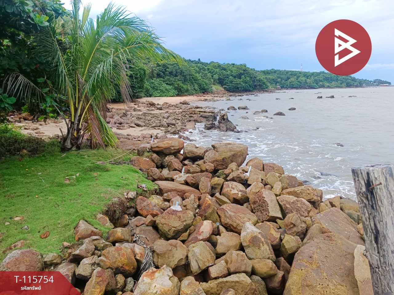 ขายที่ดินสวย เนื้อที่ 2 ไร่ 2 งาน 88 ตารางวา อ.คลองใหญ่ จ.ตราด ทำเลดี 5