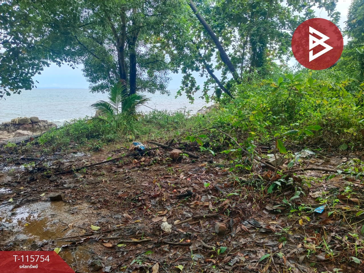 ขายที่ดินสวย เนื้อที่ 2 ไร่ 2 งาน 88 ตารางวา อ.คลองใหญ่ จ.ตราด ทำเลดี 6