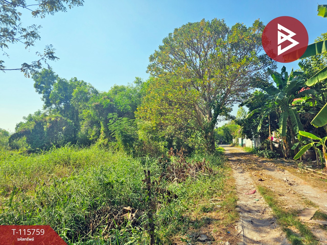 ขายที่ดิน เนื้อที่ 88 ตร.วา ลาดหลุมแก้ว ปทุมธานี 5