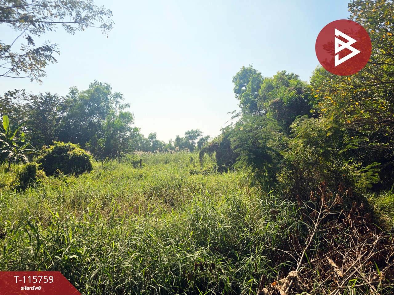 ขายที่ดิน เนื้อที่ 88 ตร.วา ลาดหลุมแก้ว ปทุมธานี 3
