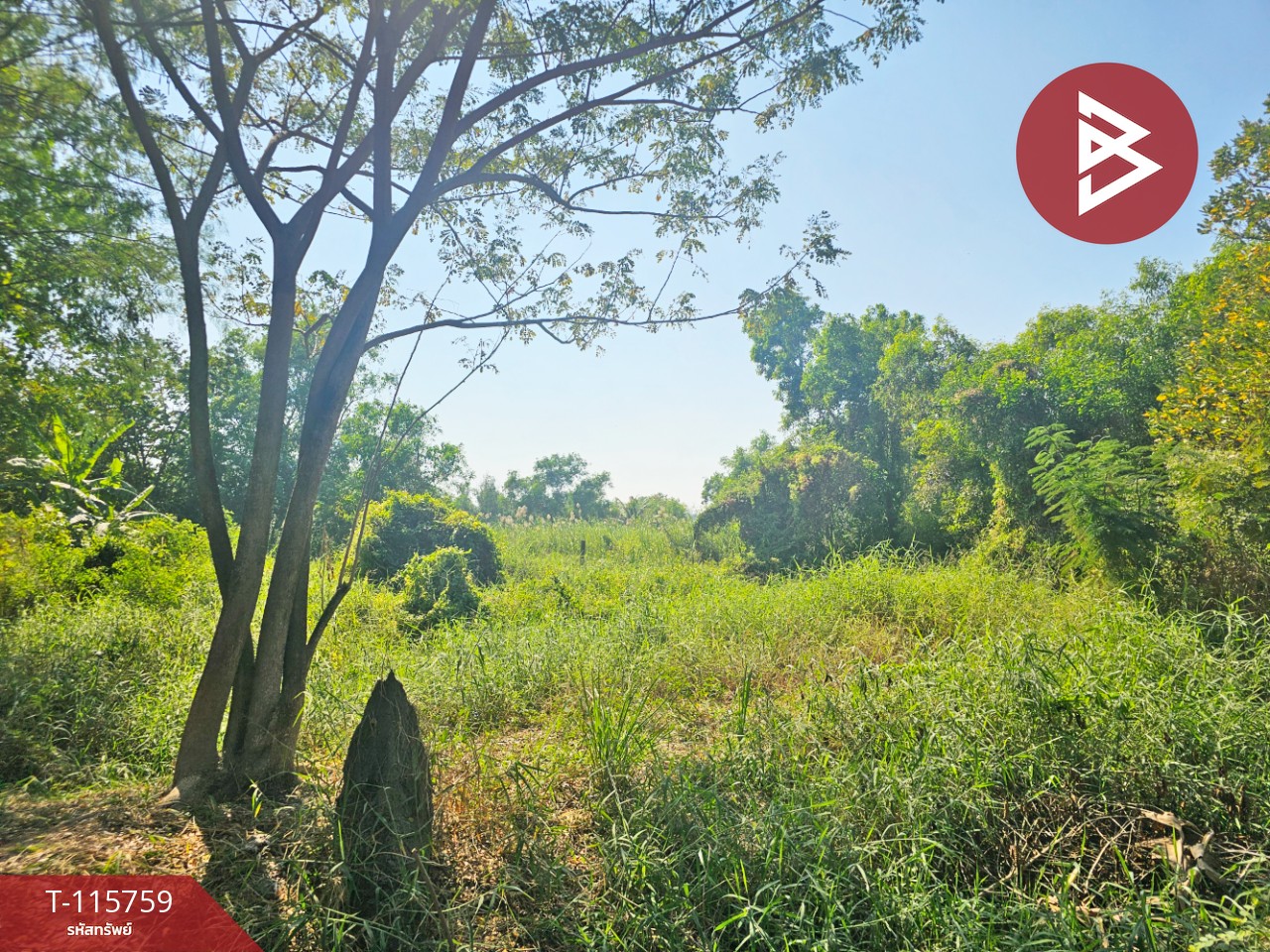 ขายที่ดิน เนื้อที่ 88 ตร.วา ลาดหลุมแก้ว ปทุมธานี 7