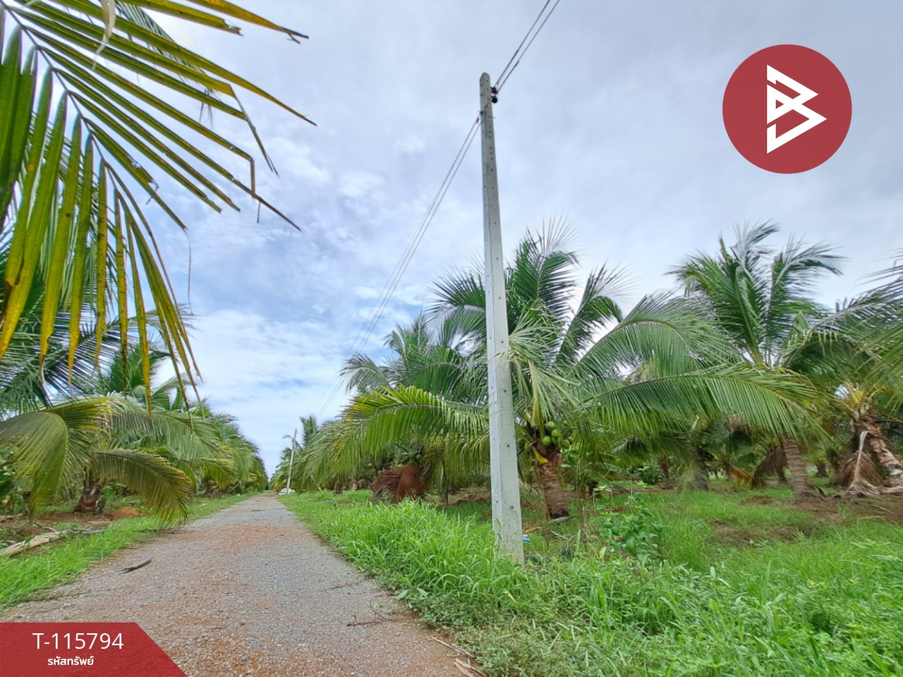 ขายที่ดินติดถนน สองพี่น้อง สุพรรณบุรี 8