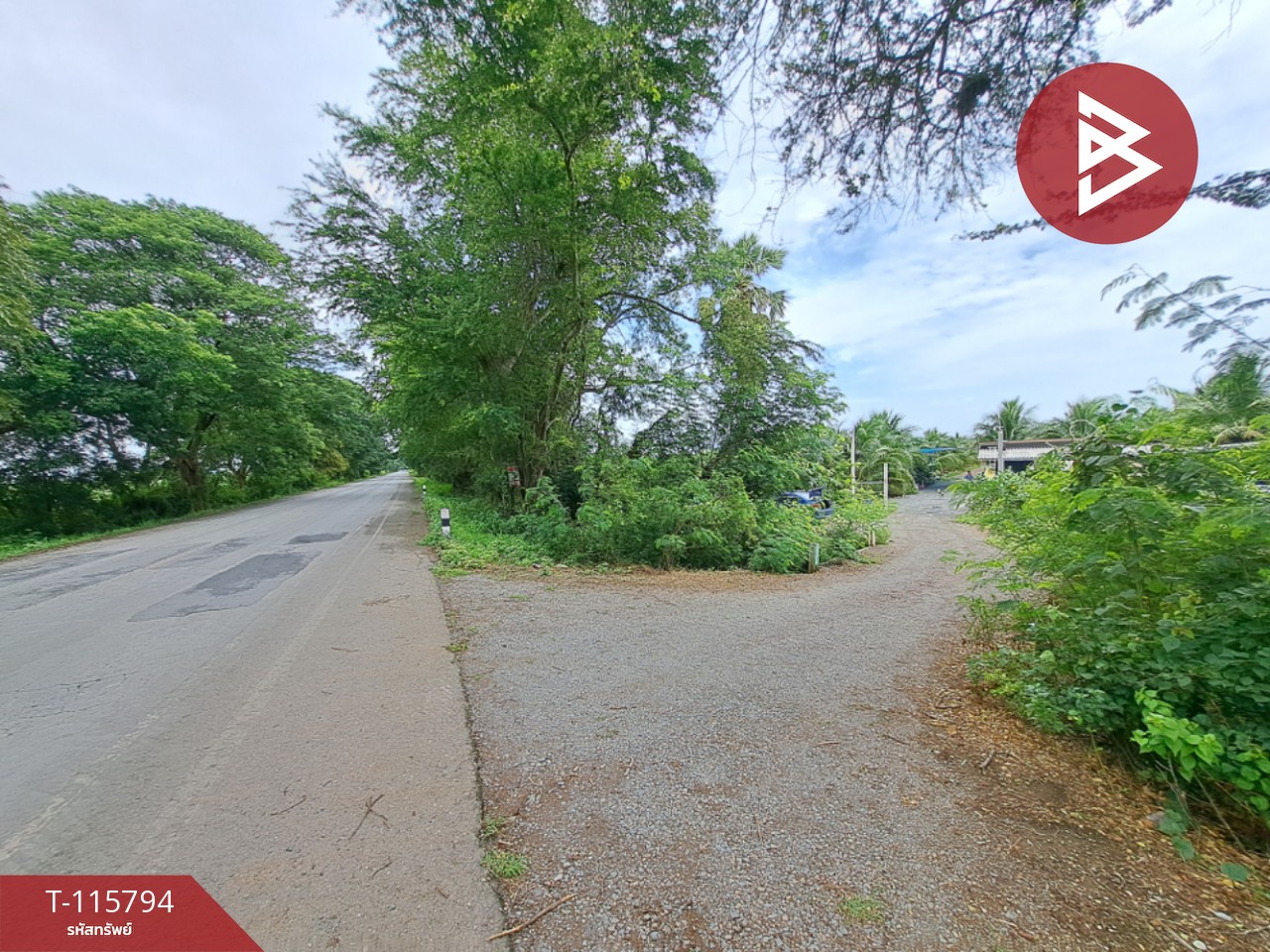 ขายที่ดินติดถนน สองพี่น้อง สุพรรณบุรี 4