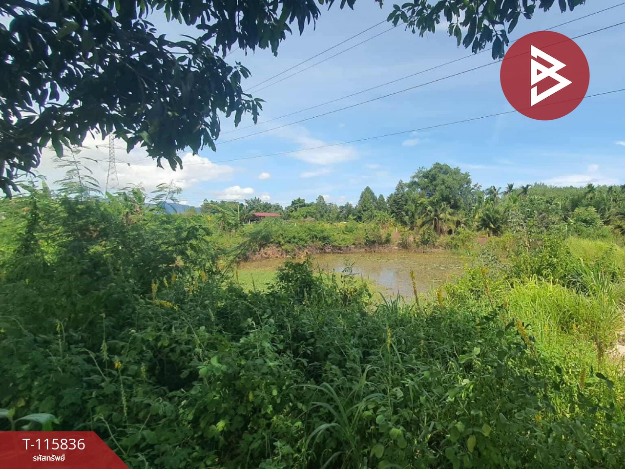 ขายที่ดิน เนื้อที่ 2 ไร่ 1 งาน 40 ตร.วา บ้านค่าย ระยอง 6