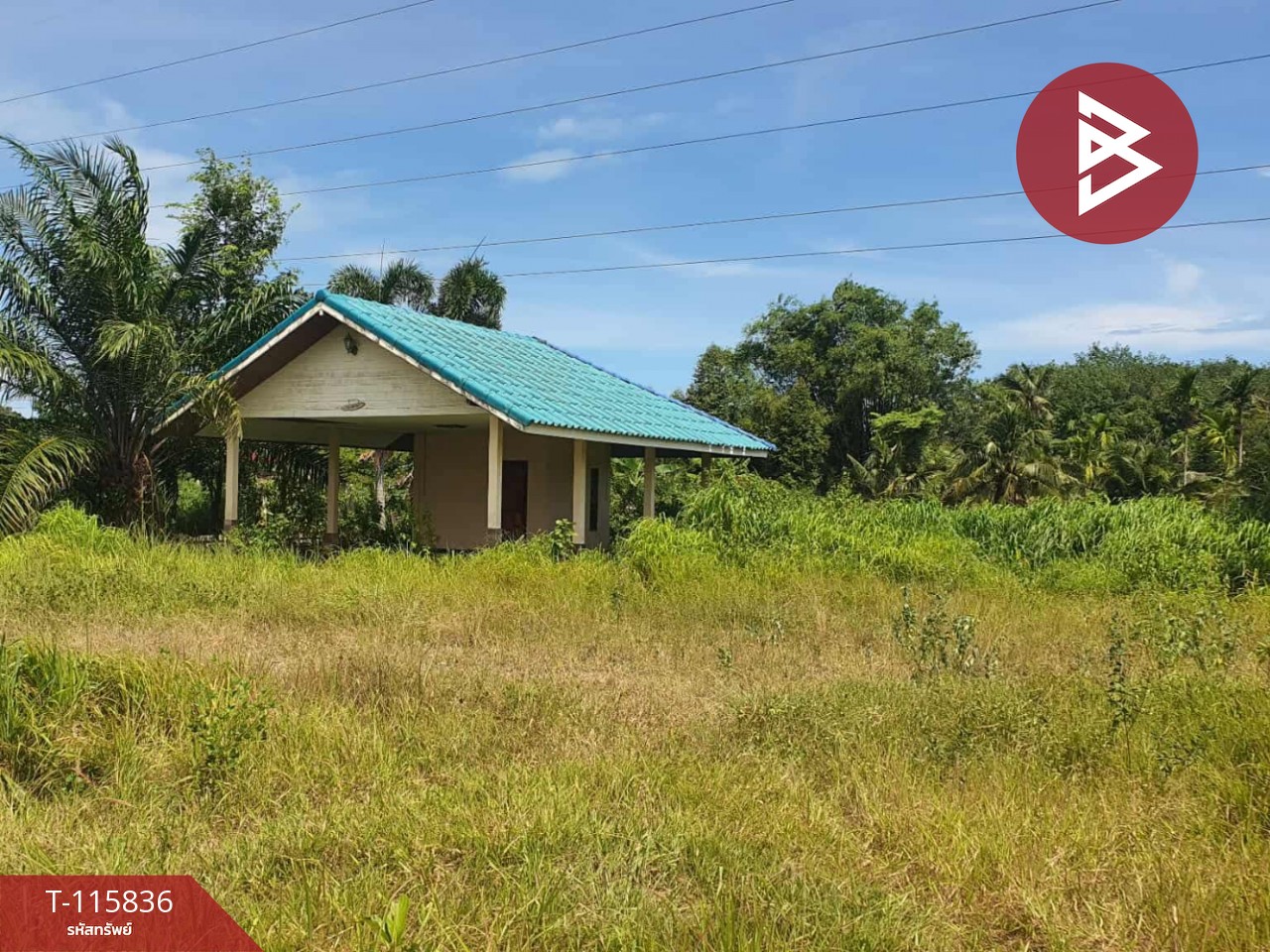 ขายที่ดิน เนื้อที่ 2 ไร่ 1 งาน 40 ตร.วา บ้านค่าย ระยอง 10